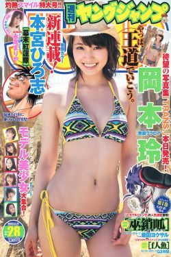 新上甘岭24集在线观看
